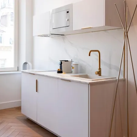 Les Perchoirs De Stanislas 1 - De Standing Hyper Centre * Nancy